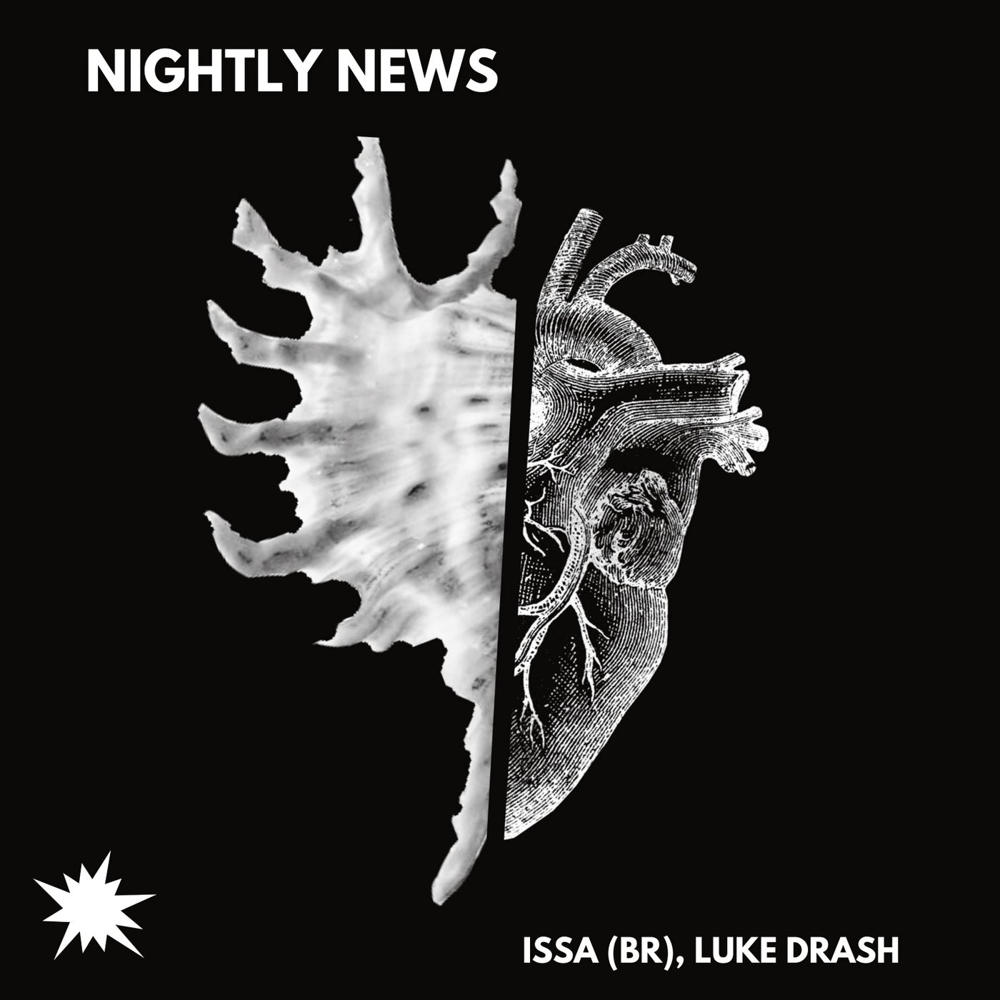 ISSA (BR), Luke Drash – Nightly News [CAT533387]